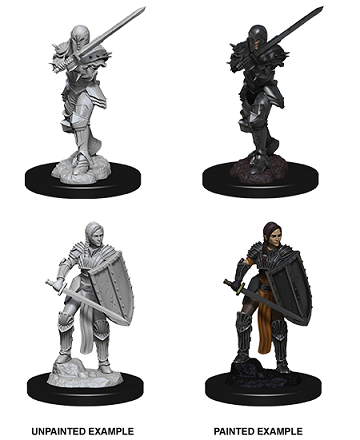 D&D MINIS: HUMAN FIGHTER | BD Cosmos