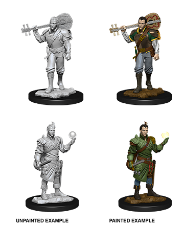 D&D MINIS: WV12 MALE HALF-ELF BARD | BD Cosmos