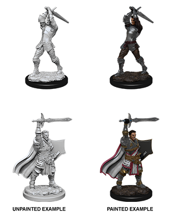 D&D MINIS: WV12 MALE HUMAN PALADIN | BD Cosmos