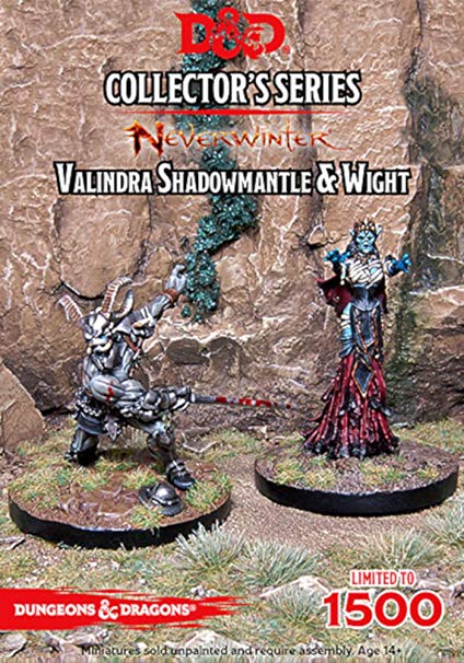 NEVERWINTER - VALINDRA SHADOWMANTLE & WIGHT | BD Cosmos