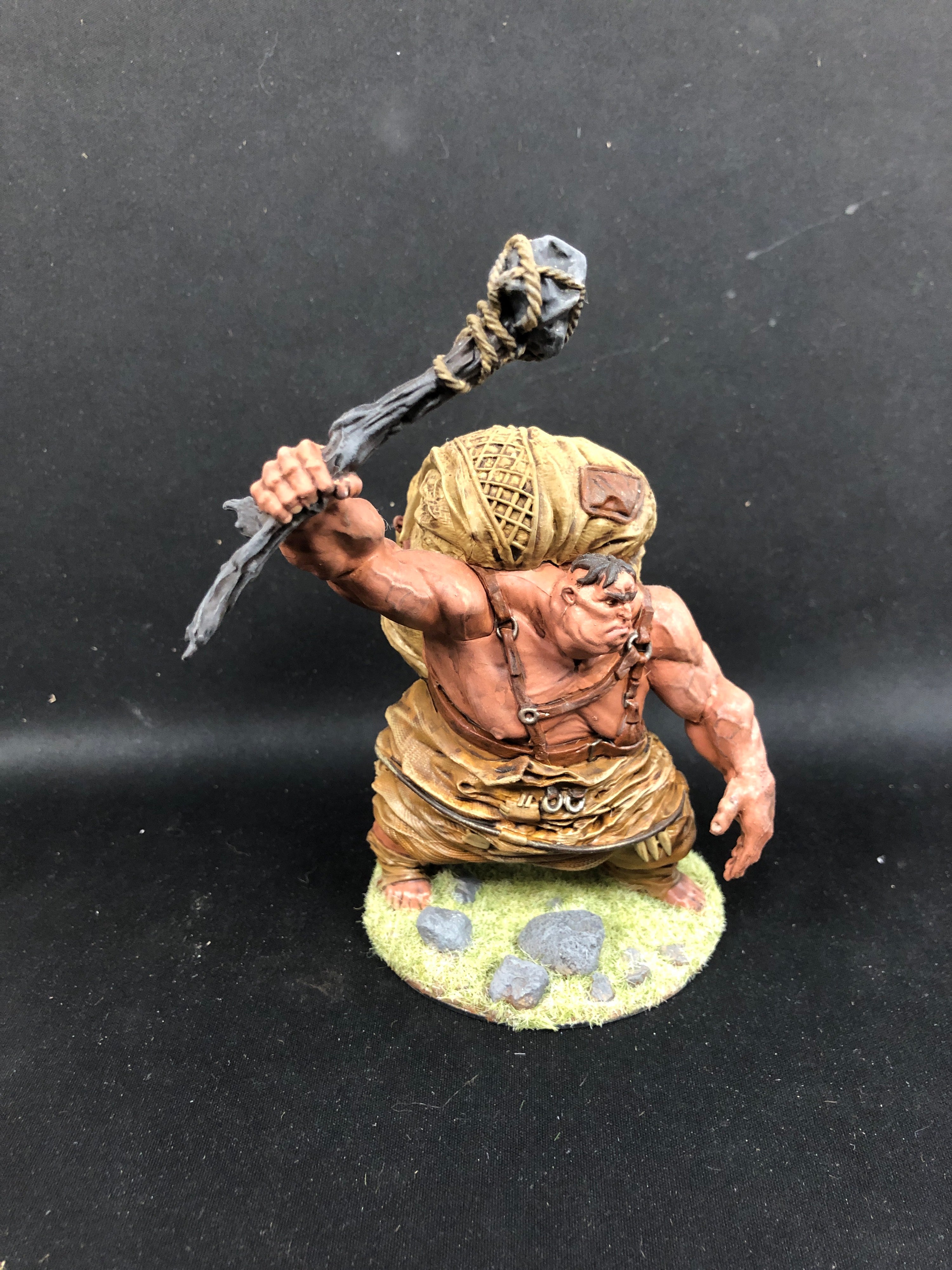 HILL GIANT PAINTED MINIATURE | BD Cosmos