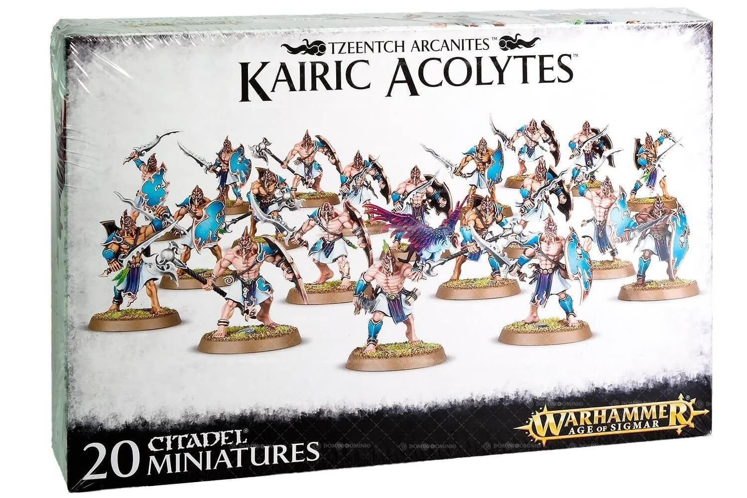 AOS: TZEENTCH ARCANITES - KAIRIC ACOLYTES | BD Cosmos