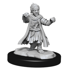 PF UNPAINTED MINIS: WV15 HALFLING MONK MALE | BD Cosmos