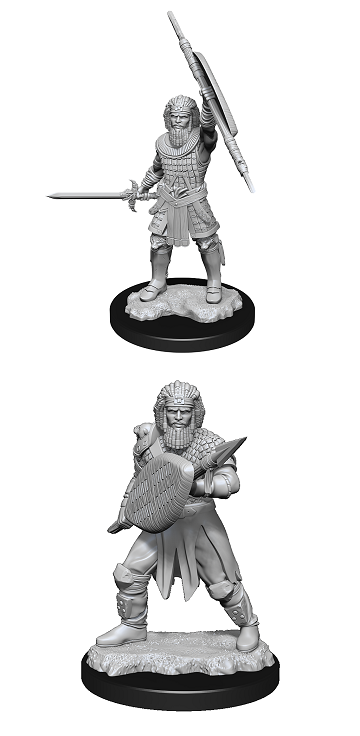 D&D MINIS: WV13 MALE HUMAN FIGHTER | BD Cosmos