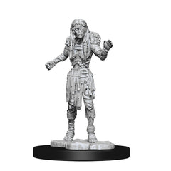 D&D MINIS: DROWNED ASSASSIN & ASETIC | BD Cosmos