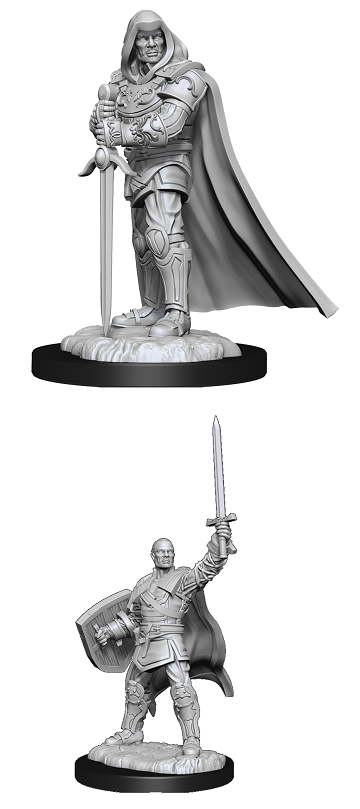 D&D MINIS: WV13 MALE HUMAN PALADIN | BD Cosmos