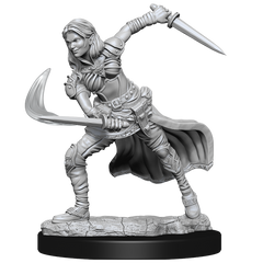 D&D UNPAINTED MINIS: WV15 AIR GENASI FEMALE | BD Cosmos