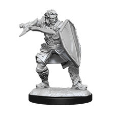 D&D MINIS : HOMME PALADIN HOMME | BD Cosmos