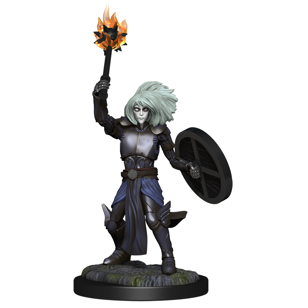 D&D MINIS: CHANGELING CLERIC | BD Cosmos