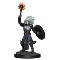 D&D MINIS: CHANGELING CLERIC | BD Cosmos