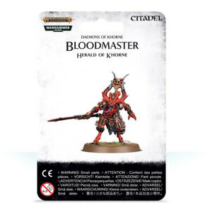 AOS: BLOODMASTER HERALD OF KHORNE | BD Cosmos